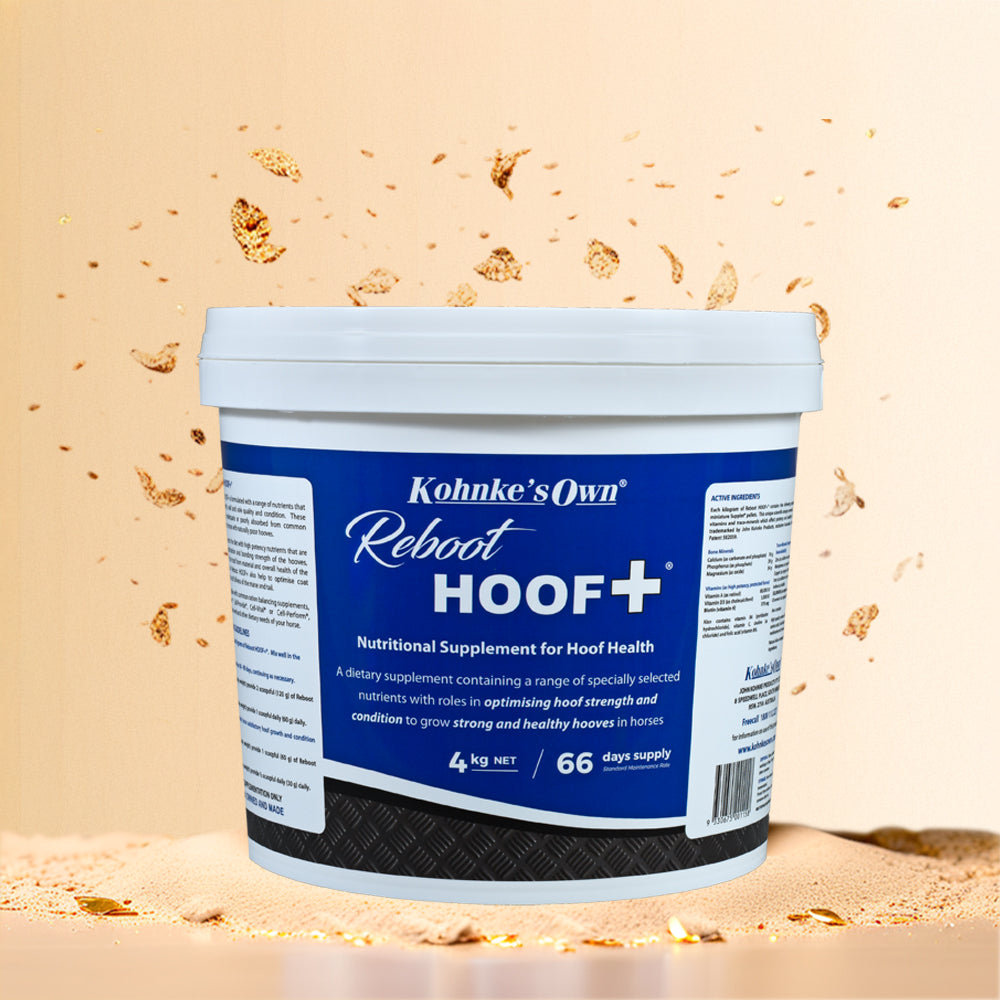 Reboot HOOF +