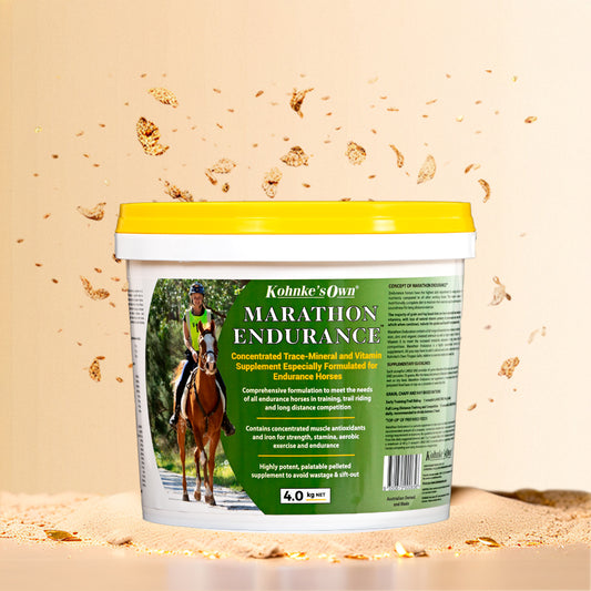 Marathon Endurance