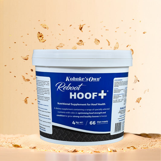 Reboot HOOF +